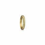 Ženski prsten AN Jewels AR.R1NS03Y-8 8