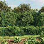 vidaXL Žičana ograda s prirubnicom zelena 1,6 x 10 m