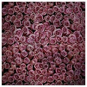 Click Props Background Vinyl with Print Roses Distressed Purple 1