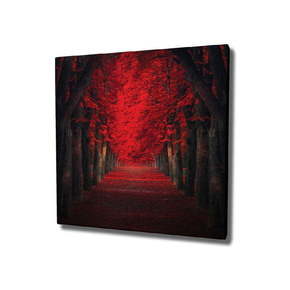 Zidna slika na platnu Red Trees