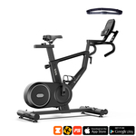 Insportline ZenRoute 250 sobni bicikl