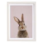 Zidna slika u okviru Querido Bestiario Baby Rabbit, 30 x 40 cm