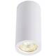 NAGY 75 QPAR51, unutarnja LED stropna svjetiljka, bijela SLV 1002965 NAGY 75 stropna svjetiljka GU10 bijela