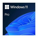 MS Windows 11 Professional 64-bit Eng