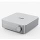 WiiM LPWIAMPS Amp, Multiroom-Streaming-Verstärker, Silber