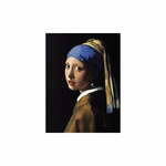 Reprodukcija slike Johannes Vermeer - djevojka s biserom, 40 x 30 cm