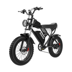 Ridstar Q20 električni bicikl - Crna - 1000W - 20aH