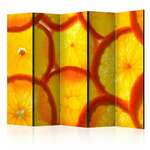 Paravan u 5 dijelova - Orange slices II [Room Dividers] 225x172