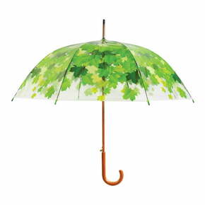 Prozirni kišobran od trske sa zelenim detaljima