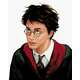 Zuty Slikanje po brojevima Portret Harryja Pottera