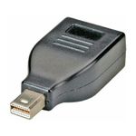 Roline adapter DisplayPort(F) na mini DisplayPort
