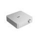 WiiM LPWIVIAMPS Vibelink Amp, 100W Leistung Verstärker, Silber