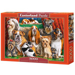 Dog club puzzle 3000kom - Castorland