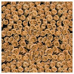 Click Props Background Vinyl with Print Roses Distresed Orange 1