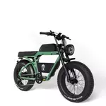 Ape Rayder električni bicikl BONOBO Forrest Green