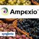 AMPEXIO Fungicid 0,15 kg