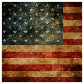 Click Props Background Vinyl with Print American Flag 1