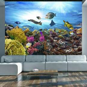 Samoljepljiva foto tapeta - Coral reef 245x175
