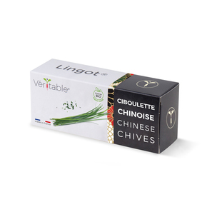Veritable Lingot® Chinese chives - Organic