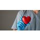 UZV srca s color dopplerom, EKG i pregled kardiologa - bolesti srca i krvnih ...