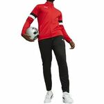 PUMA Odjeća za vježbanje 'TeamRise' crvena / crna / bijela