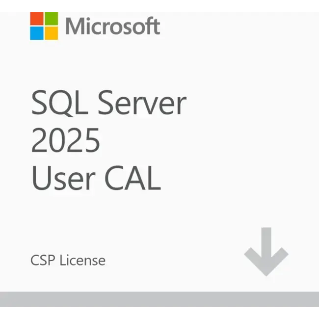 Microsoft SQL Server 2025 - 1 User CAL