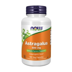 Astragalus NOW