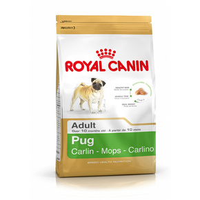ROYAL CANIN Pug (Mops) 1