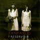 Fanfarlo - RSD - Reservoir (2 LP)