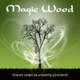 MAGIC WOOD kartice za dnevni p(re)okret