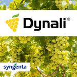 DYNALI Fungicid 0,25 l