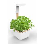 Veritable - Kućni vrt Botaneo Eylo - bijela. Kućni vrt iz kolekcije Veritable. Model izrađen od umjetnog materijala i drva.