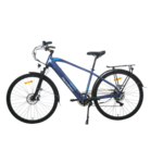 Električni bicikl MS ENERGY eBike c11, L veličina