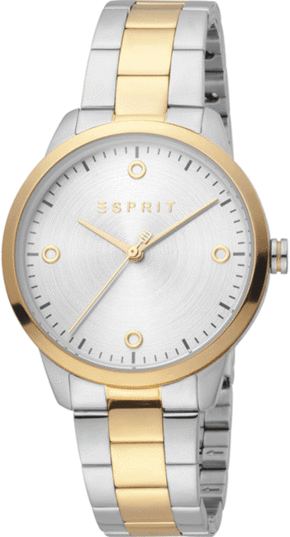 Ladies' Watch Esprit ES1L164M0075