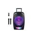 Netgear audio sustav za karaoke The Flash 1510