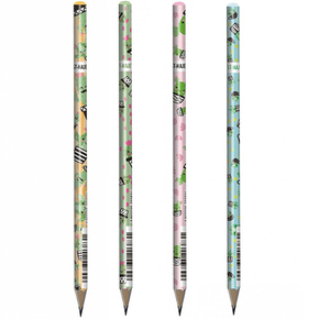 Kaktusna trokutasta grafitna olovka HB u nekoliko verzija