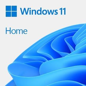 DSP Windows 11 Home Cro 64-bit