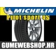Michelin ljetna guma Pilot Sport 4, XL 295/30R20 101Y