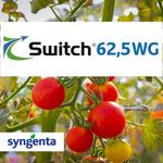 SWITCH 62,5 WG Fungicid 1 kg