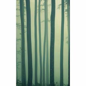 Click Props Background Vinyl with Print Foggy forest 1.52x2.44m studijska foto pozadina s grafikom