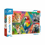 Animal Planet: Egzotične životinje puzzle od 1000kom - Trefl