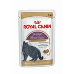 Royal Canin British Shorthair Adult - mokra prehrana za Britansku kratkodlaku odraslu mačku 12 x 85 g