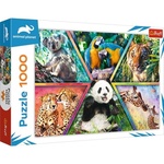Animal Planet: Kraljevi životinja puzzle 1000 kom - Trefl