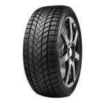 Zimska DELINTE 155/80 TR13 TL 79T DELINTE WD6 - Isporuka 7 radnih dana (S4)