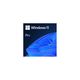 Microsoft Windows 11 Pro, FQC-10524, OEM