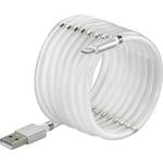 Renkforce USB kabel USB 2.0 USB-C™ utikač, Apple Lightning utikač 1.00 m bijela