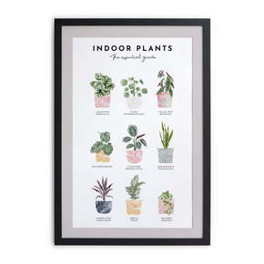 Zidna slika u okviru Really Nice Things Indoor Plants