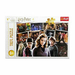 Harry Potter i njegovi prijatelji slagalica od 160 dijelova - Trefl