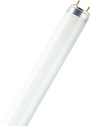 OSRAM fluorescentne cijevi Energetska učinkovitost 2021: G (A - G) G13 36 W toplo bijela oblik cijevi (Ø x D) 25.5 mm x 1213.6 mm 1 St.