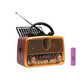 Blow radio RA10